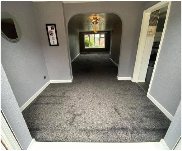 Carpet Cleaning Brookfield