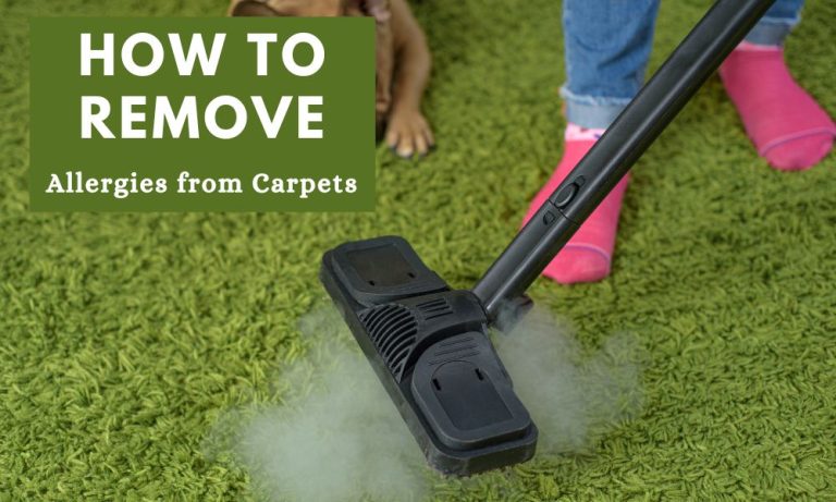 How to Remove Allergies from Carpets