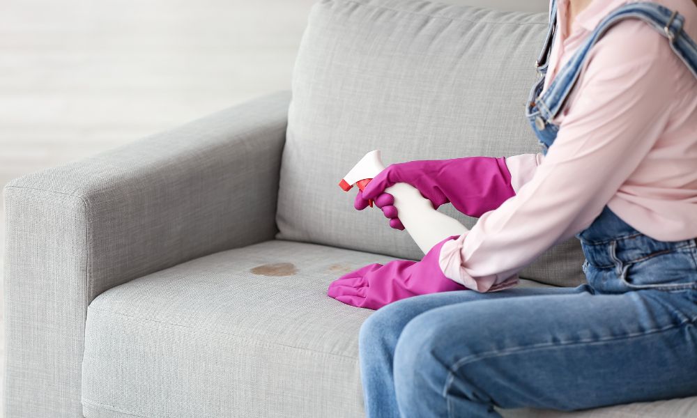 Upholstery Cleaning Brookfield

